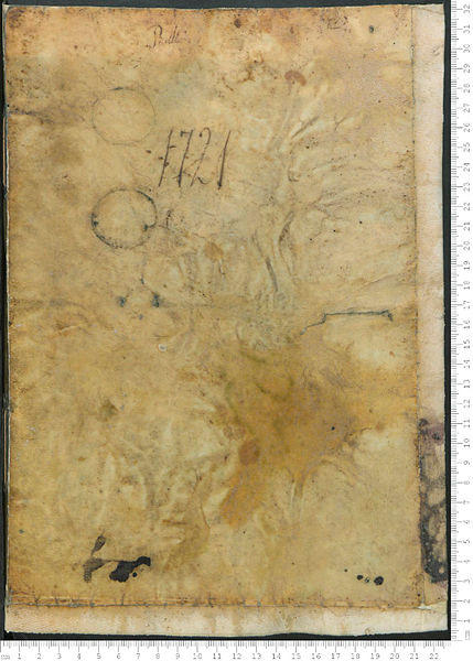 Open original Digital object